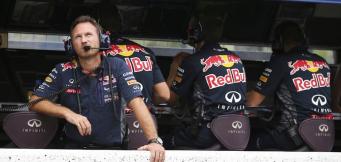 Team Principal Red Bull