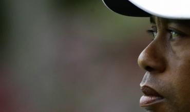 Il profilo di Tiger